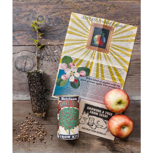Apple Tree Seed Grow Kit